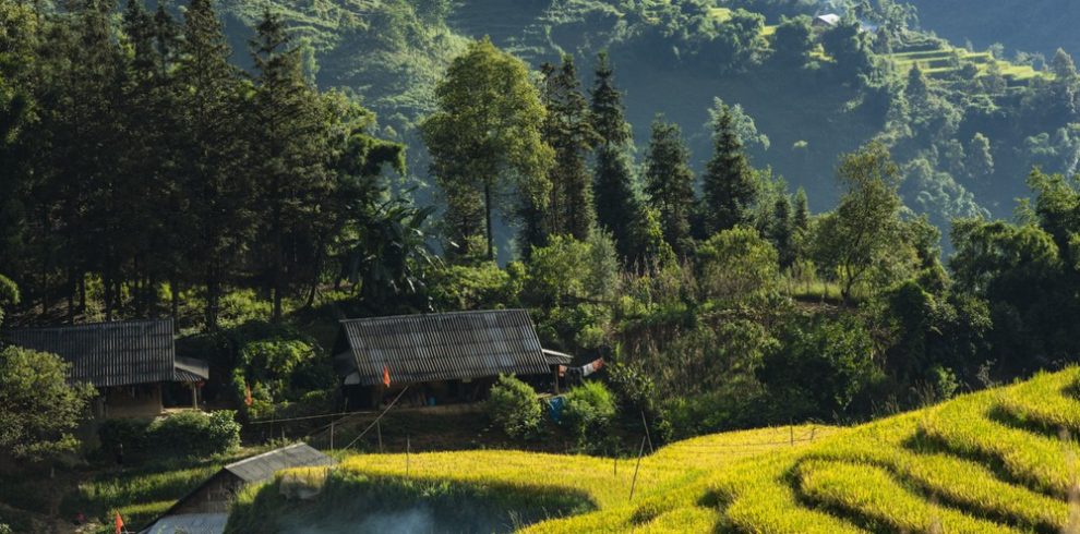 Y Linh Ho Hamlet - Y Linh Ho - Sapa - Lao Cai - Vietnam